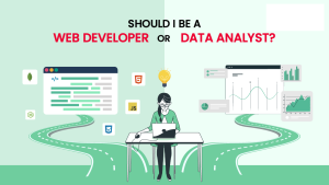 Full Stack Developer vs Data Analytics